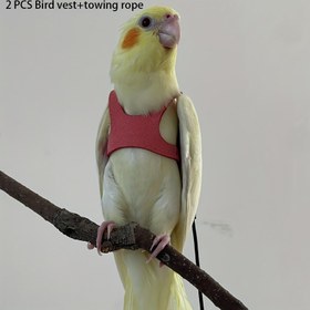 Resim 2'li Papağan Yeleği & Çekme Halatı Seti - Dayanıklı Sentetik Fiber Tek Parça Yelek, Ayarlanabilir Kayışlar, Güvenli Toka & Ergonomik Tasarım ile Dış Mekan Kuş Serbest Bırakma, Papağan Eğitim ve Güvenli Kullanım için, Papağan Yeleği 