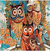 Resim Çerçeveli Renklerin Baykuşlar Kanvas Sayılarla Boyama Seti Kasnaklı 40cm X 50 Cm 