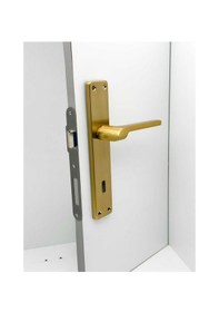 Resim Tutku Titanyum Gold Lüx Aynalı Oda Kapı Kolu 1 Takım 