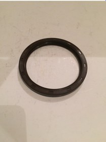 Resim H100 KRANK KEÇESİ ARKA 