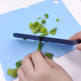 Resim Katlanabilir Kesme Tahtası - Taşınabilir Kamp Tahtası, Yer Tasarruflu Tasarım, Hafif ve Kolay Temizlenebilir, Gözeneksiz Yüzeyli Mutfak, Piknik, Karavan, Ev Kullanımı İçin Gıda Güvenliği Plastik Kesme Tahtası, Kamp Aksesuarları, Kolay Temizleme Yüzeyi, Kompakt Tasarım, Hijyenik Malzeme, Açık Hava Tutkunları 