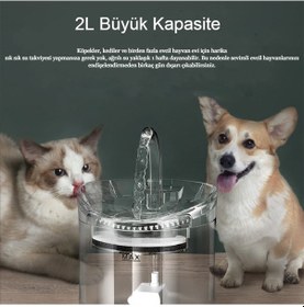 Resim Interstech Akıllı Sessiz Kedi Sessiz Şeffaf Otomatik Pet Su Sebili 
