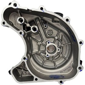 Resim Bajaj Pulsar F 250 Şanzıman Kapağı Sol 