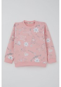 Resim Breeze Kız Çocuk Eşofman Takımı Pati Masalı Pantolonu Fiyonk Detaylı 1-4 Yaş, Pembe Pembe 