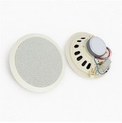 Resim Dexun D-20t 100 Volt 20 Cm Trafolu Alçıpan Hoparlör 4989 