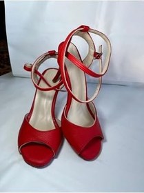 Resim Tango, Salsa,bacata, Swıng Cazz Kadın Dans Ayakkabısı Kelebek-8,5 (13 PONT) 