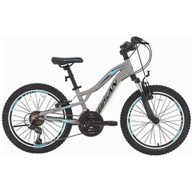 Resim Bisan Buffalo Çocuk Bisikleti 30 cm V 24 Jant 18 Vites Açık Gri Siyah Mavi 