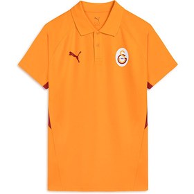 Resim GALATASARAY EVOSTRIPE Erkek Polo 