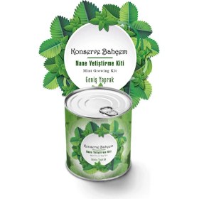 Resim Buffer® Konserve Bahçem Nane Yetiştirme Kiti 