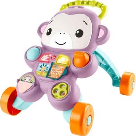 Resim Fisher-Price Benimle Öğren Mor Maymun Yürüteç JGW94 