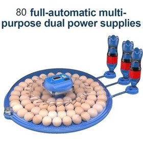 Resim 80 Yumurta Kapasiteli Otomatik Çiftlik Kuluçka Makinesi : Yumurta, Bıldırcın, Civciv Ve Kanatlılar İçin Mz-80 