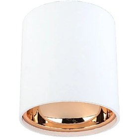 Resim Cata Foça Beyaz-Bakır CT-5421 BB 