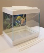 Resim Mini Akvaryum 20cm Beyaz 