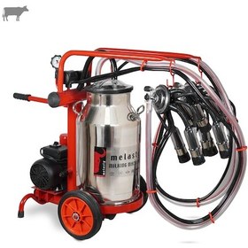 Resim Melasty Ecomini İkili İnek Süt Sağma Makinesi Paslanmaz Güğüm-kauçuk Kuru -3196 