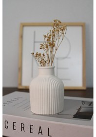 Resim Pinterest Pampas Vazosu/desenli Vazo Diğer 