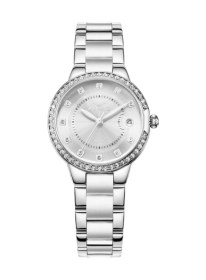 Resim Ferro Fl21349a-a Quartz Çelik Gri 32 Mm Kadın Kol Saati Gri 