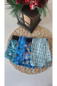 Resim JASMIN UNDERWEAR 320- 4'lü Set Pamuklu Erkek Çocuk Renkli Boxer 
