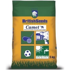 Resim Camel Çim Tohumu Kurak Bölgeler İçin Çim Tohumu Karışımı 5 KG 
