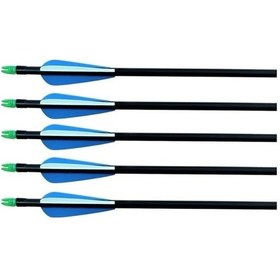 Resim Topoint 30'' Değişebilen Uç Fiberglass Ok 12'li Siyah 