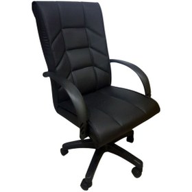 Resim Koltukstilim Risus Pls Makam Koltuğu Yönetici Koltuğu Diğer 