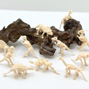 Resim 20 adet Mini Dinozor İskeletleri Seti - Oyun, Eğitici Eğlence ve Yaratıcı Projeler için Gerçekçi PVC Figürler, Dinozor Kemikleri, Kazı Aksesuarları ve Gösterim Kutuları Dahil, Dinozor Dekorasyonları 