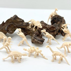 Resim 20 adet Mini Dinozor İskeletleri Seti - Oyun, Eğitici Eğlence ve Yaratıcı Projeler için Gerçekçi PVC Figürler, Dinozor Kemikleri, Kazı Aksesuarları ve Gösterim Kutuları Dahil, Dinozor Dekorasyonları 