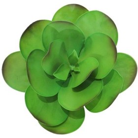 Resim Yapay Sukulent 25 Cm-9967 