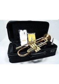 Resim Wisemann Dtr-200 Si Bemol Trompet Seti Gold Kanvas Çantalı 