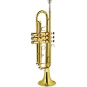 Resim Valler VTR170 Trompet 