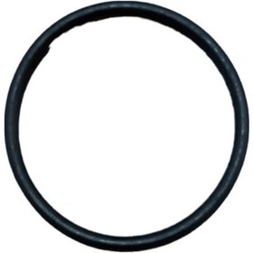 Resim Clio-kangoo-megane K4m-k4j Gaz Kelebek Oringi - İnce 8200068566 