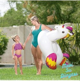 Resim Pegasus Tutmalı Binici 150 X 117 Cm 