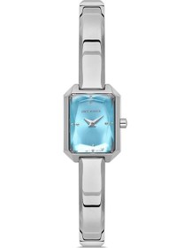 Resim Dıce Kayek Kadın Kol Saati Dk.1.ag1348.03 Metalik 