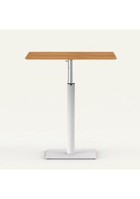 Resim Tablalı Masa Ayağı 11.520 - Yükseklik Ayarlı Pistonlu Çok Renkli 