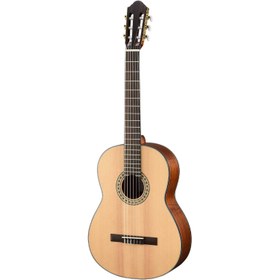 Resim Walden WAN550E Natura 500 Klasik Gitar (Natural) 