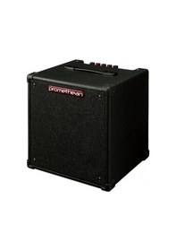 Resim Ibanez P20-U 20W Kombo Bas Gitar Amfisi 