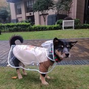 Resim 1 Paket Şeffaf Su Geçirmez Köpek Yağmurluğu, Tüm Köpek Irkları İçin Yağmur Koruma Malzemeleri 