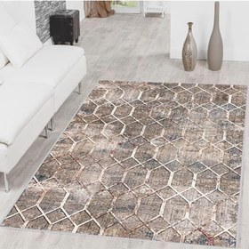 Resim Rovigo Dijital Baskı Yıkanabilir Kaymaz Taban Salon Halısı Rvg1513-sd239, Kahverengi, 180 x 250 