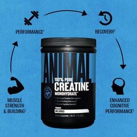Resim Universal Animal Creatine Monohydrate Monohidrat 500gr - 100 SERVİS - Usa menşei Yerli üretim değildir 