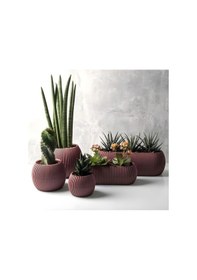 Resim Omnipazar Krs Mercan Dekoratif Sukulent Kaktüs Plastik Saksı Takımı 5'li Set Soft Pembe 