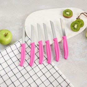 Resim Aryıldız Mira 6 Parça Dişli Meyve Bıçak Seti Fuşya 