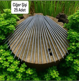 Resim 25 Adet Ciğer Şişi,galvaniz Mangal Ciğer Şişi 55 Cm 