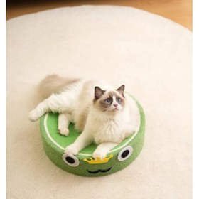 Resim Raikou Kurbağa Kedi Tırmalama Alanı 