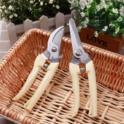 Resim 1 adet Klasik Paslanmaz Çelik Bahçe Budama Makası, Çok Fonksiyonlu Kaymaz Emek Tasarruflu Bahçe Makası Çiçek Kesmek, Bitki Budamak, Bonsai ve Meyve Toplamak İçin 