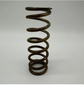 Resim Transpalet Pompa Yayı Krom Paslanmaz 