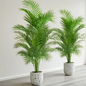 Resim 1 Adet 24 Yapraklı Büyük Yapay Palmiye Ağacı - UV Dayanıklı İç/Dış Mekan Dekoratif Bitki, Gerçekçi Tropikal Yeşillik Düğünler, Tatiller, Ev & Bahçe için Uygun - Bakım Gerektirmeyen Plastik Zemin Ayakta Dört Mevsim Süsleme 