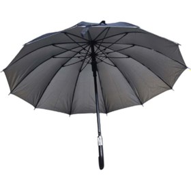 Resim Power Path with confidence Siyah Baston Şemsiye 12 Telli Sky-220 Sky-241 60 