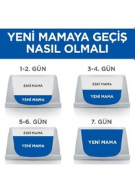 Resim Hill's Hypoallergenic Adult Yumurta ve Böcek Proteinli Yetişkin Kedi Maması 7 KG 