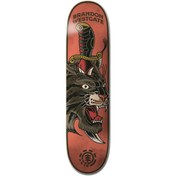 Resim Element 8.5 Hıgh Dry Snake Kaykay Tahtası 
