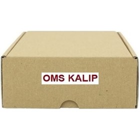 Resim OMS KALIP 116109 Orta Kapi (Surgulu) Ust Makarasi Kangoo (WH269351) 