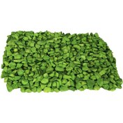Resim Çakıl Taşı Küllük Teraryum Akvaryum Taşı Yeşil 1 Kg 